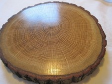 1 x Holzscheibe Eiche 20 cm