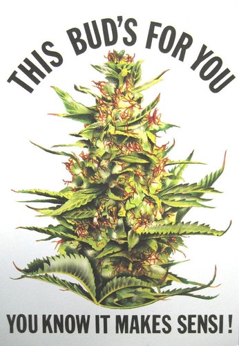 Cannabis marihuana marijuana - cannabis,