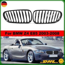 Glänzend Nieren Grill Einzel