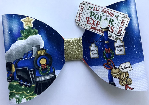 Blauer polar express - polar,