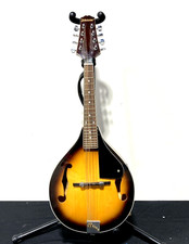 JOHNSON A-Style MANDOLIN 8