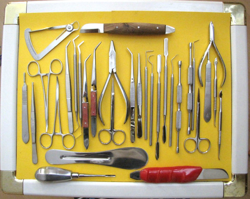 Teilen von dental - teilen,