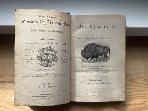 Samuel schilling grundriß - schilling's,