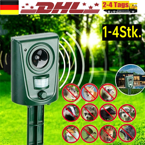 Ultraschall - 1-4x,