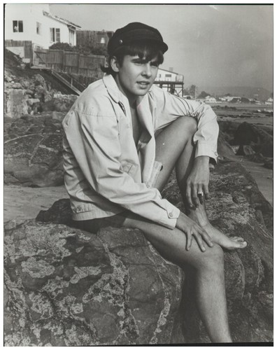 C5955 davy jones monkees - c5955/,