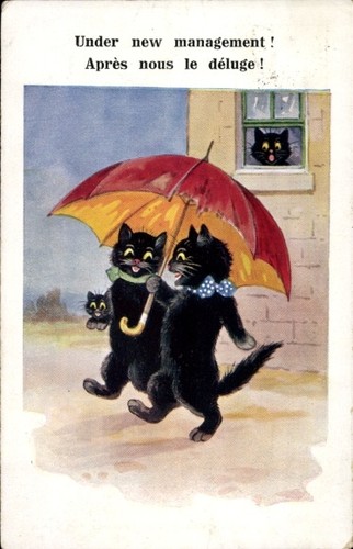 Vermenschlichte katzen mit - katzen,