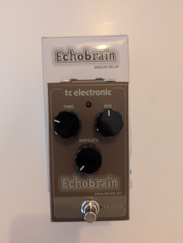 Electronic echobrain - -,