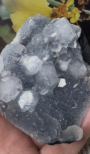 Apophyllit auf chalcedon - auf,