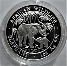 2007 & 2008 Somalia Elefanten