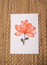 Aquarellmalerei Blume