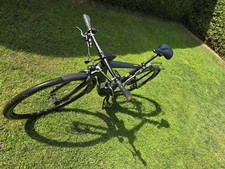 Rose Backroad Plus Urban