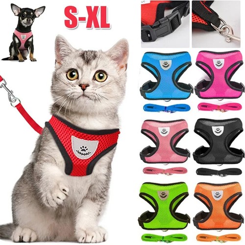 Katzen hundegeschirr mit leine - katzen-hundegeschirr,