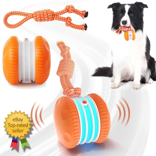 Interaktiver hundespielzeug - interaktiver,