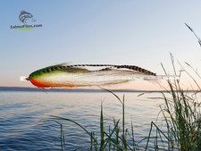 XL Profi-Streamer 24cm –