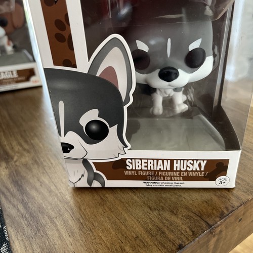 Siberian husky pets - siberian,