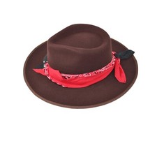 Brauner Fedora Hut mit