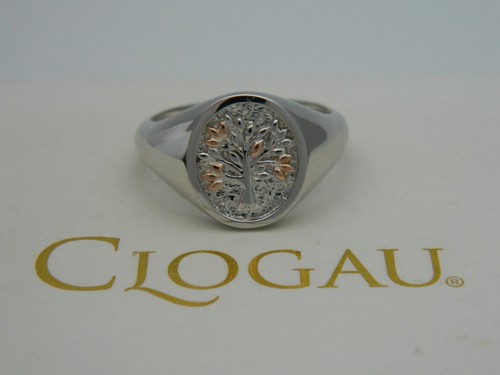 Walisischer clogau - walisischer,