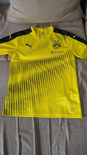 Bvb borussia dortmund - borussia,