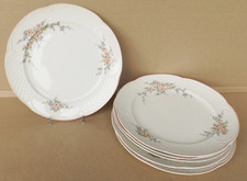 6 Stück  Villeroy & Boch Rosette  Vitro Porzellan Speiseteller Dm.27cm