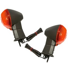 Kunststoff Blinker-Paar hinten