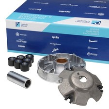 Variomatik, Variator, Vario