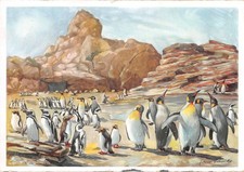 717403) AK Carl Hagenbecks