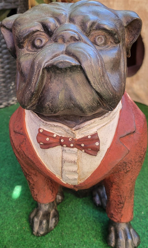 Bulldogge hund dekofigur - bulldogge,