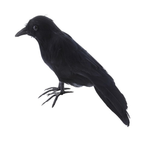 Taubenschreck krähe rabe - taubenschreck,