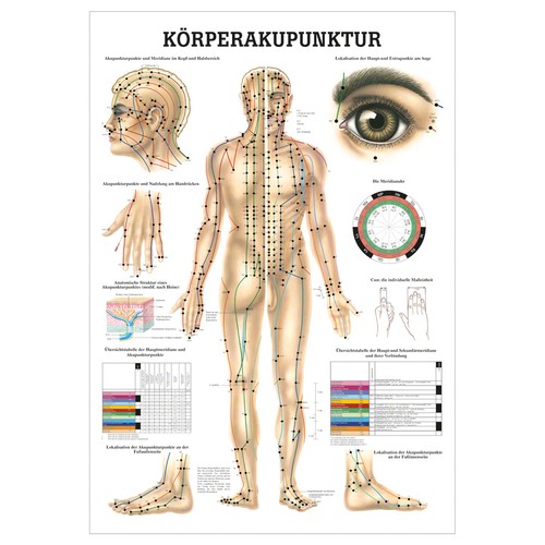 Körperakupunktur lehrtafel - körperakupunktur,