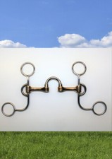  D.H. Correction Bit - Short