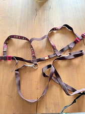 Pferdeleine / Halfter