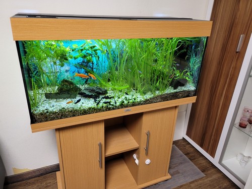 Aquarium juwel 180l voll - juwel,