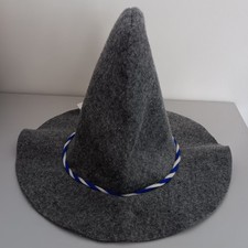 Oktoberfest Wiesen Seppelhut