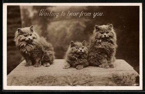Waiting hear from you - waiting,