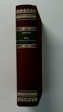 118654 Johann Wolfgang Gooethe