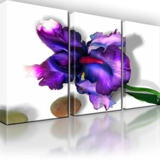 Iris Blume Natur Bild 3 Teilig Bilder Leinwand Wandbild Kunstdruck