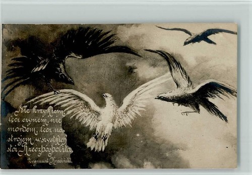 Raubvögel symbolisch cssr - raubvögel,