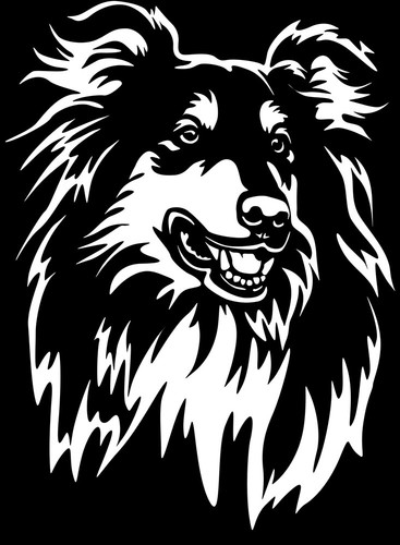 Collie aufkleber - collie,