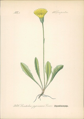 Chromolithographie - ,