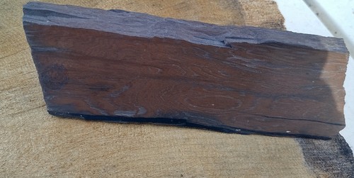 Fossiles holz flohmarkt fund - fossiles, holz,