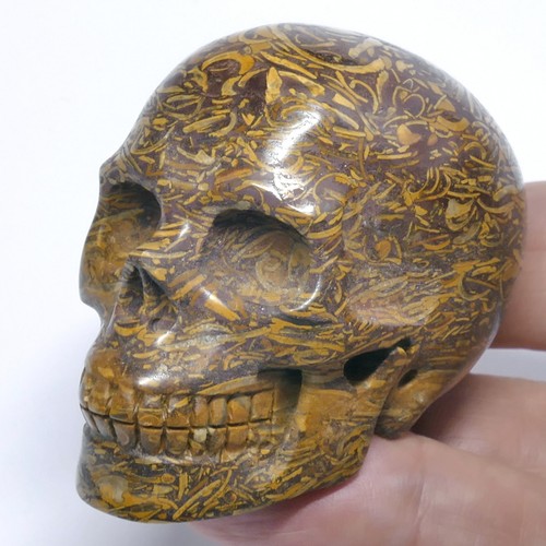 Top elefantenhaut fossilien - top!,