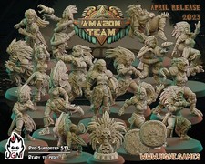 Amazon fantasy football team - football,