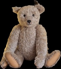 Steiff Teddy " Theodor "