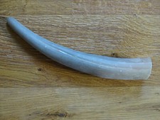 Großes Stierhorn Kuhhorn