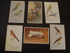 6 KAPERN VOGELFUTTER VOLIERE &