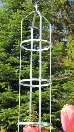 Rosensäule turin rankhilfe - rosensäule,
