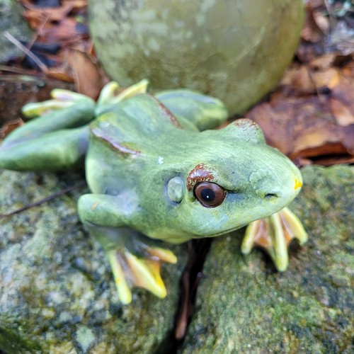 Frosch figur garten grün - figur,