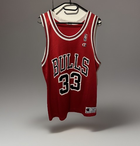Champion jersey chicago bulls - chicago,