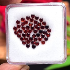 50 Stück Natürlich Mosambik