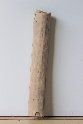 Treibholz schwemmholz - treibholz,